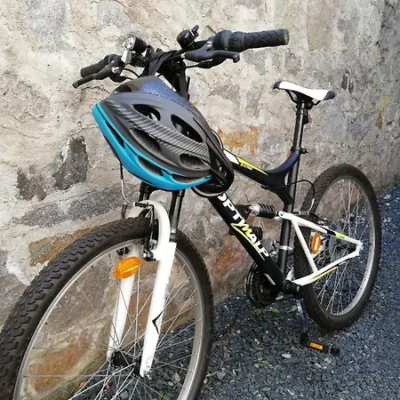 Marmotte Gerardmer